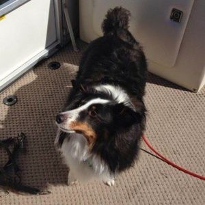 Meet your Posher, Julia